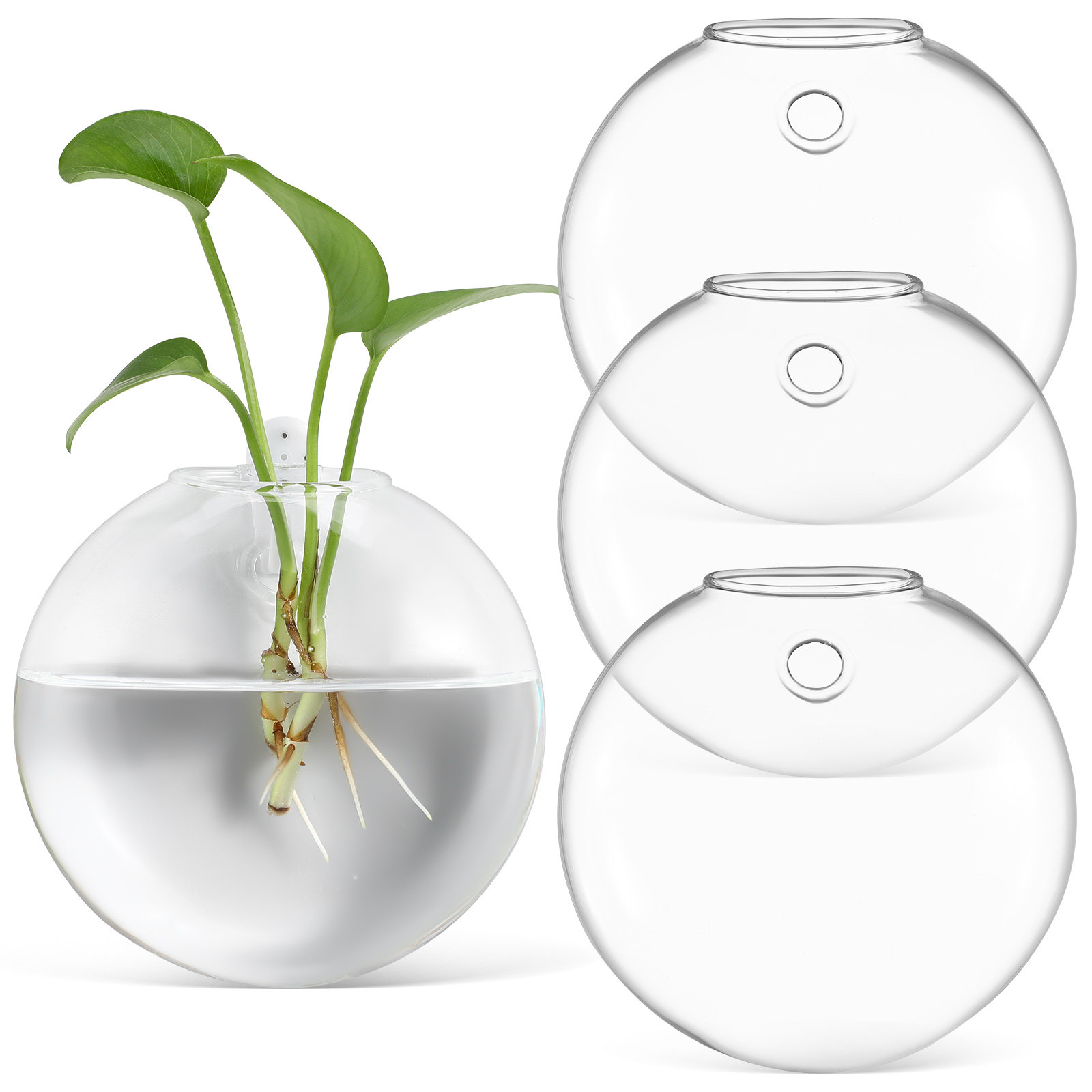 4 vasos de vidro transparentes - Propagation Station Vase avaliação e preço