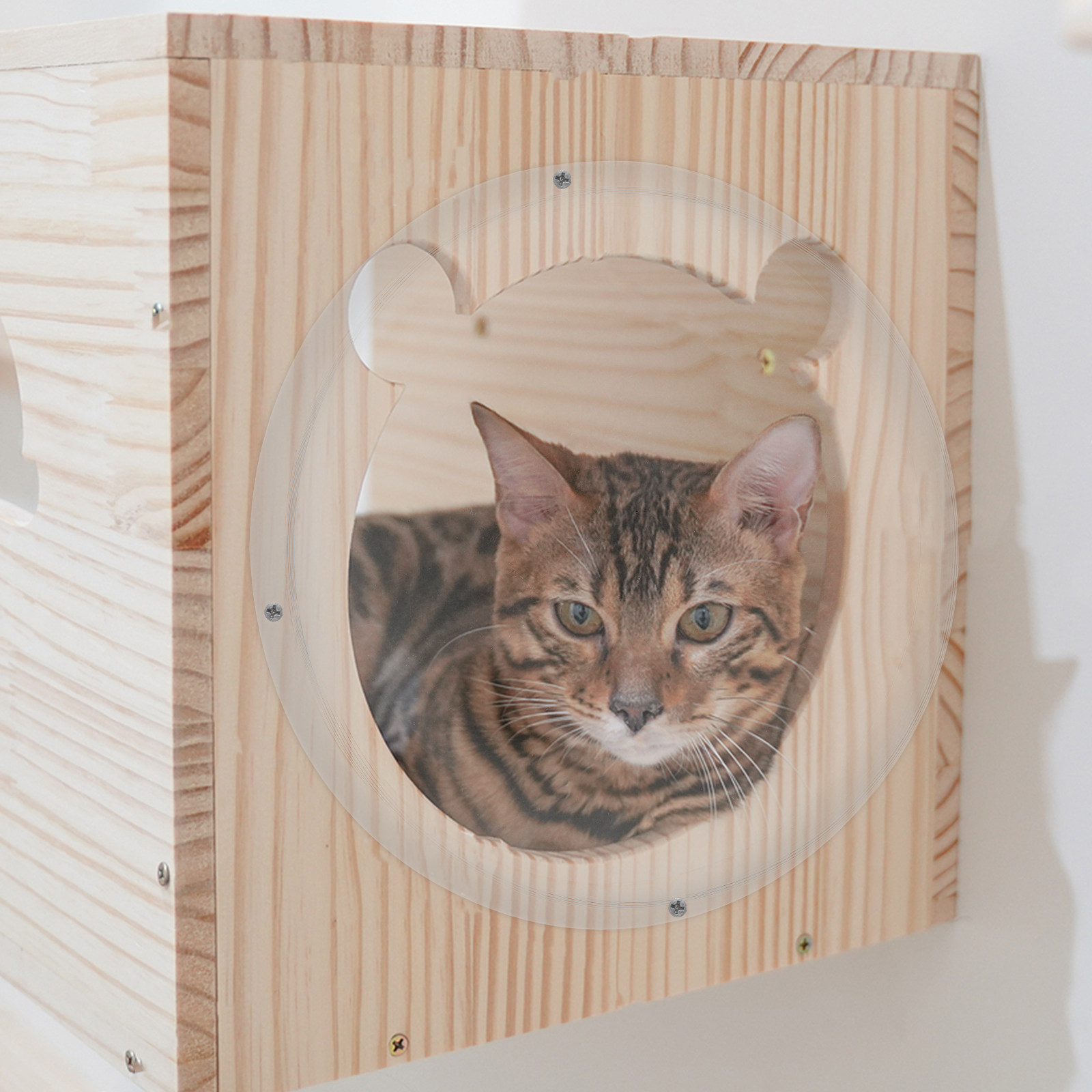 Cápsula de ninho para gatos em - Plastic Dome Clear avaliação e preço