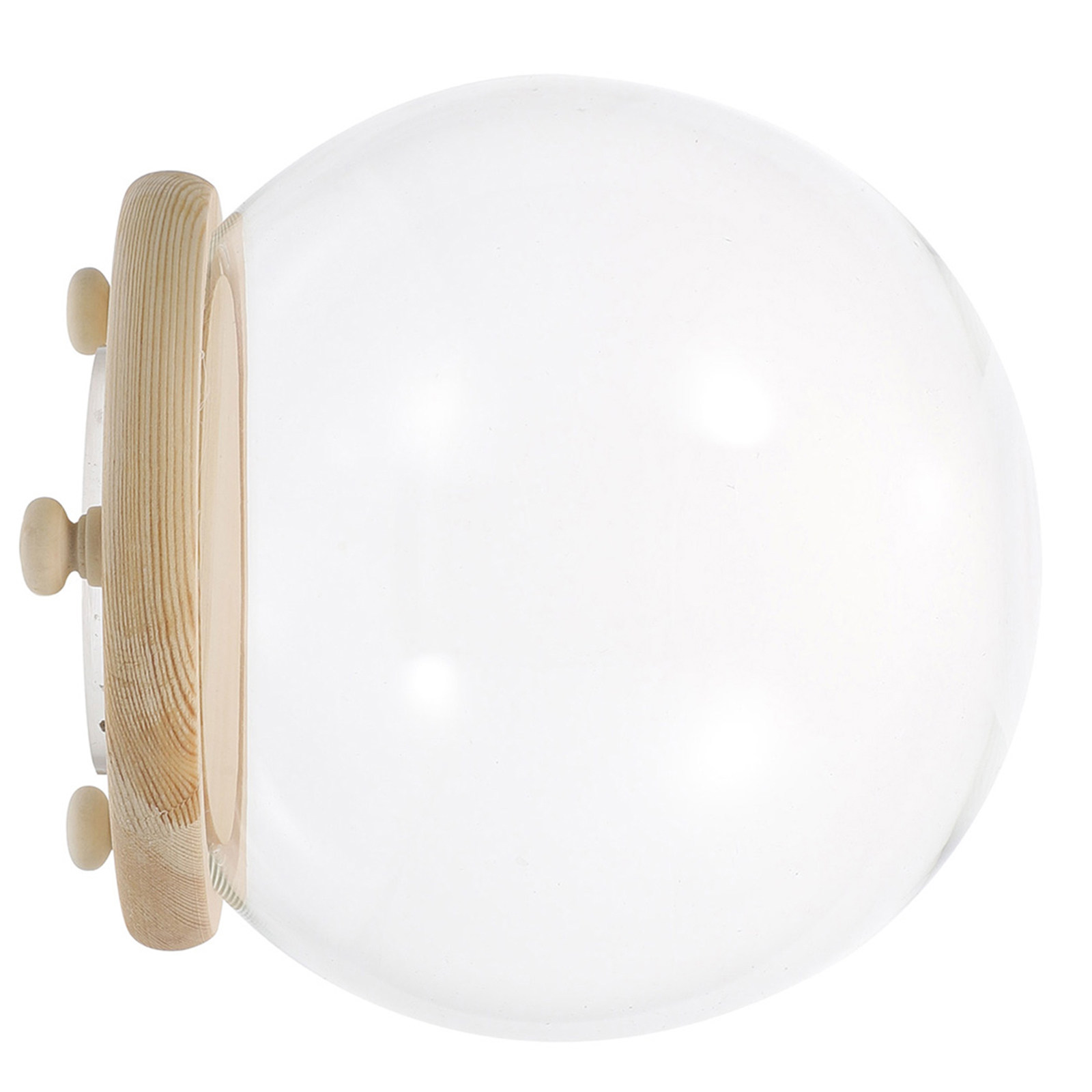 Vaso de vidro com flor preserv - Plastic Dome Clear avaliação e preço