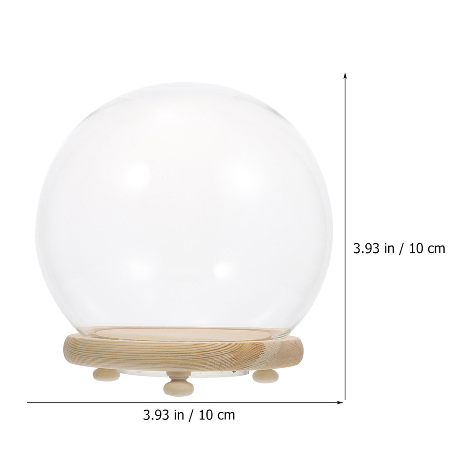 Vaso de vidro com flor preserv - Plastic Dome Clear avaliação e preço